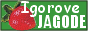 Igorove JAGODE